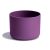 Beachplum Purple